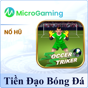 Tiền Đạo Bóng Đá