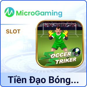 Tiền Đạo Bóng Đá